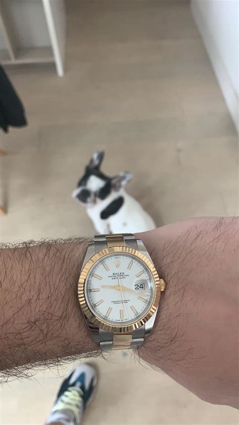 rolex dog|rolex belgië.